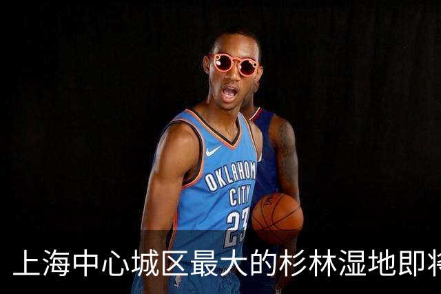 上海中心城区最大的杉林湿地即将进入最佳观赏期，记者实探