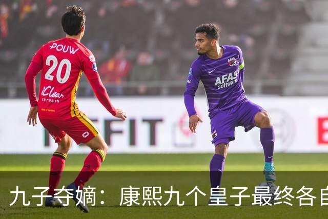 九子夺嫡：康熙九个皇子最终各自下场