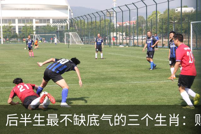 后半生最不缺底气的三个生肖：财运旺、事业稳，躺平也踏实