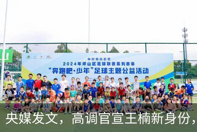 央媒发文，高调官宣王楠新身份，资产查封被带走调查传闻早有真相
