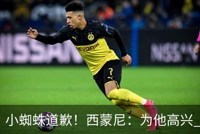 小蜘蛛道歉！西蒙尼：为他高兴 我们非常需要他来达成球迷的目标