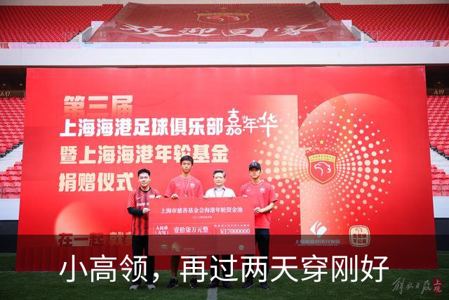 小高领，再过两天穿刚好