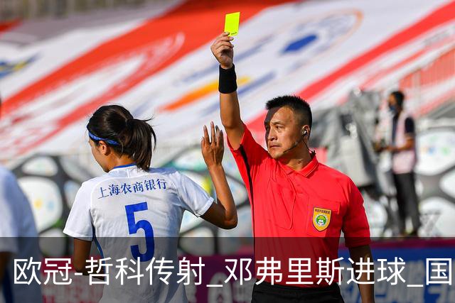 欧冠-哲科传射 邓弗里斯进球 国际米兰2-0客胜