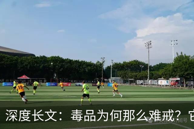 深度长文：毒品为何那么难戒？它不制造快乐，只是偷走了你感受快乐的能力！