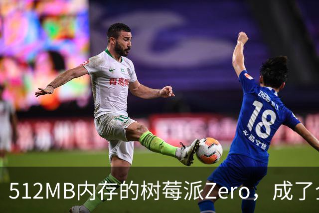 512MB内存的树莓派Zero，成了全家网络的DNS中枢